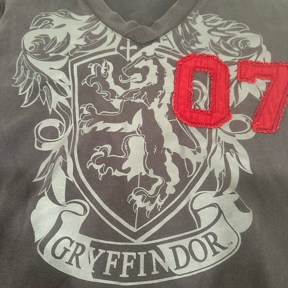 Harry Potter Gryffindor V-Neck Sweatshirt Hoodie Wizard Warner Bros. Movie Sz L - Picture 6 of 10